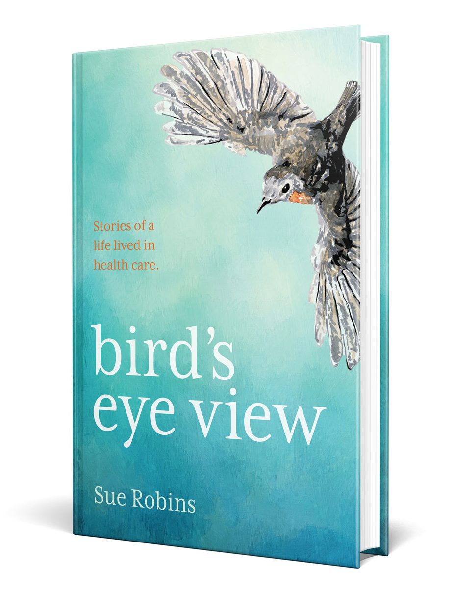 Bird's Eye View_book cover