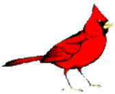 cardinal